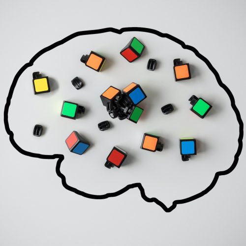 Concept of mental health. Silhouette of a human brain with a broken conundrum on a gray background.