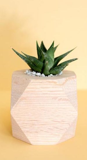 mong-bui-515633-unsplash-1.jpg mong-bui-515633-unsplash-1.jpg